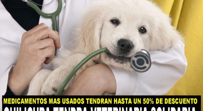 Quilicura tendrá Farmacia Veterinaria Solidaria