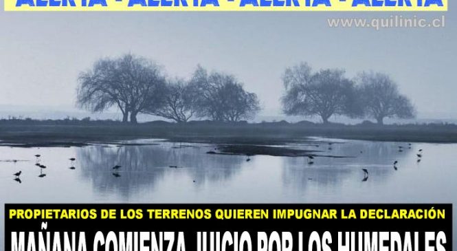Se viene el juicio por los humedales