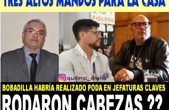 Rodaron cabezas ????